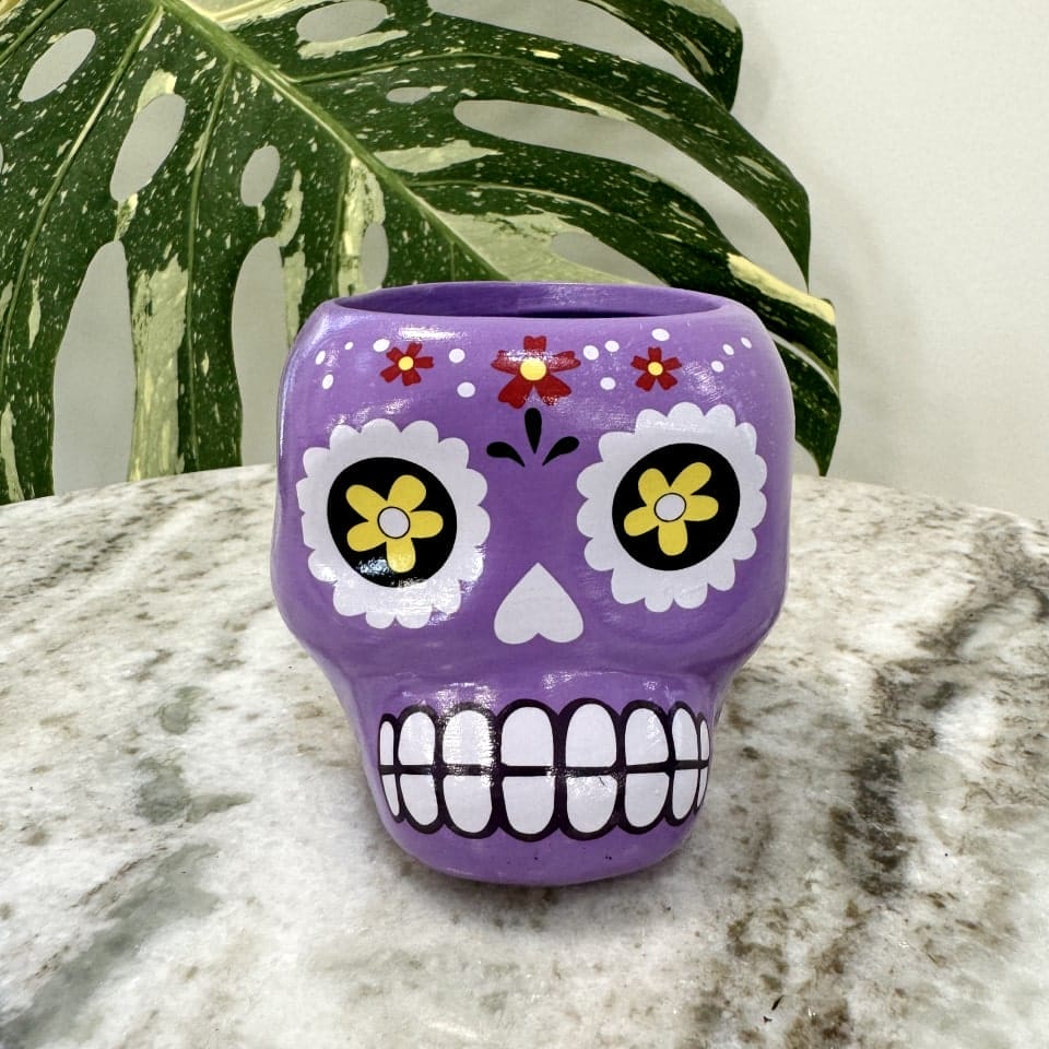 lilla calavera keramisk urtepotte