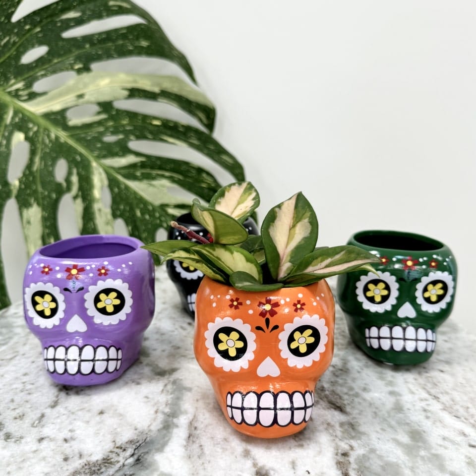 calavera flower ceramic pot