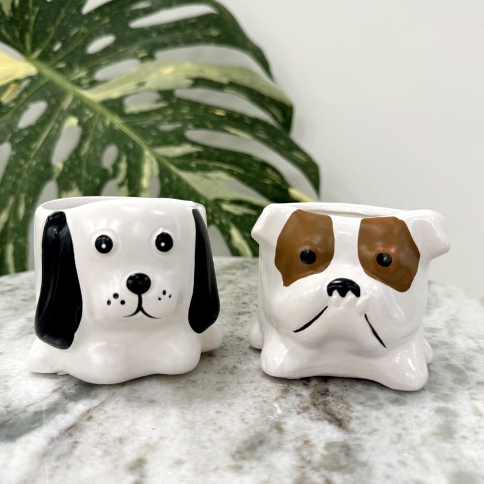 hund keramikpotte til planter