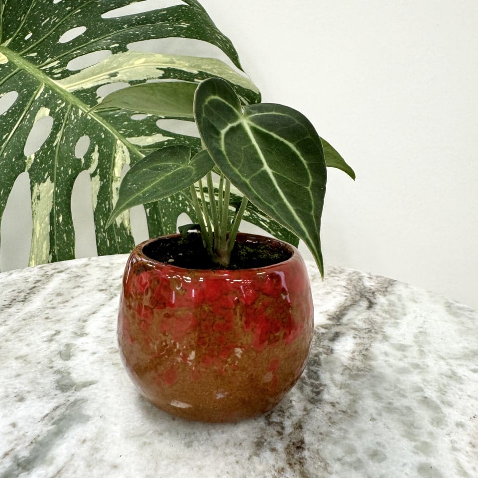 red ceramic flower pot