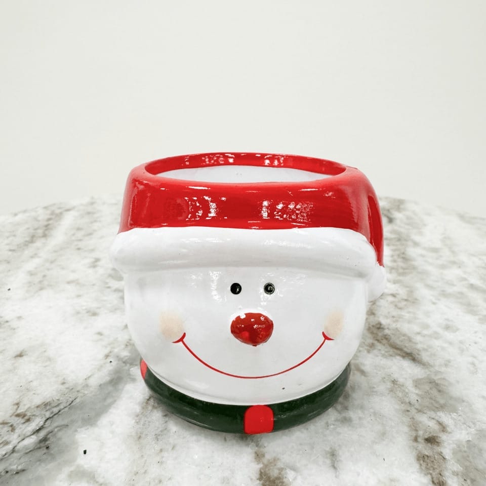 Botanique Frosty Friend - Ø 6 cm