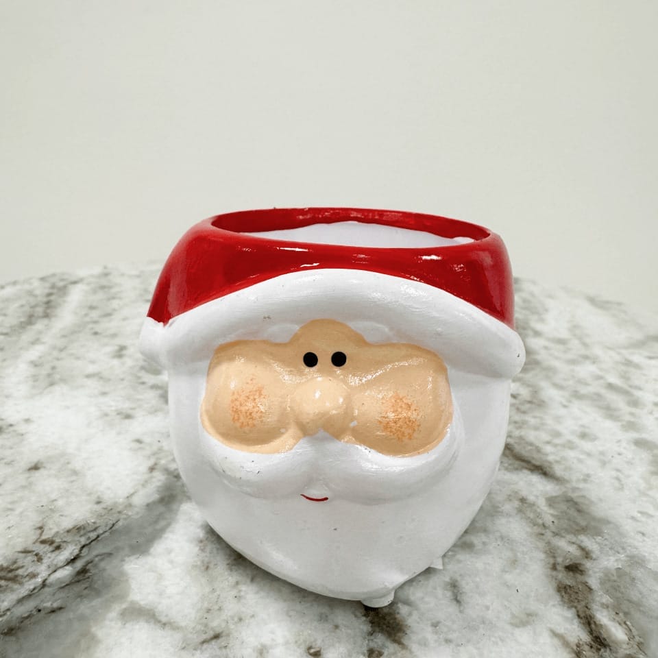 Botanique Noel Charm - Ø 6 cm