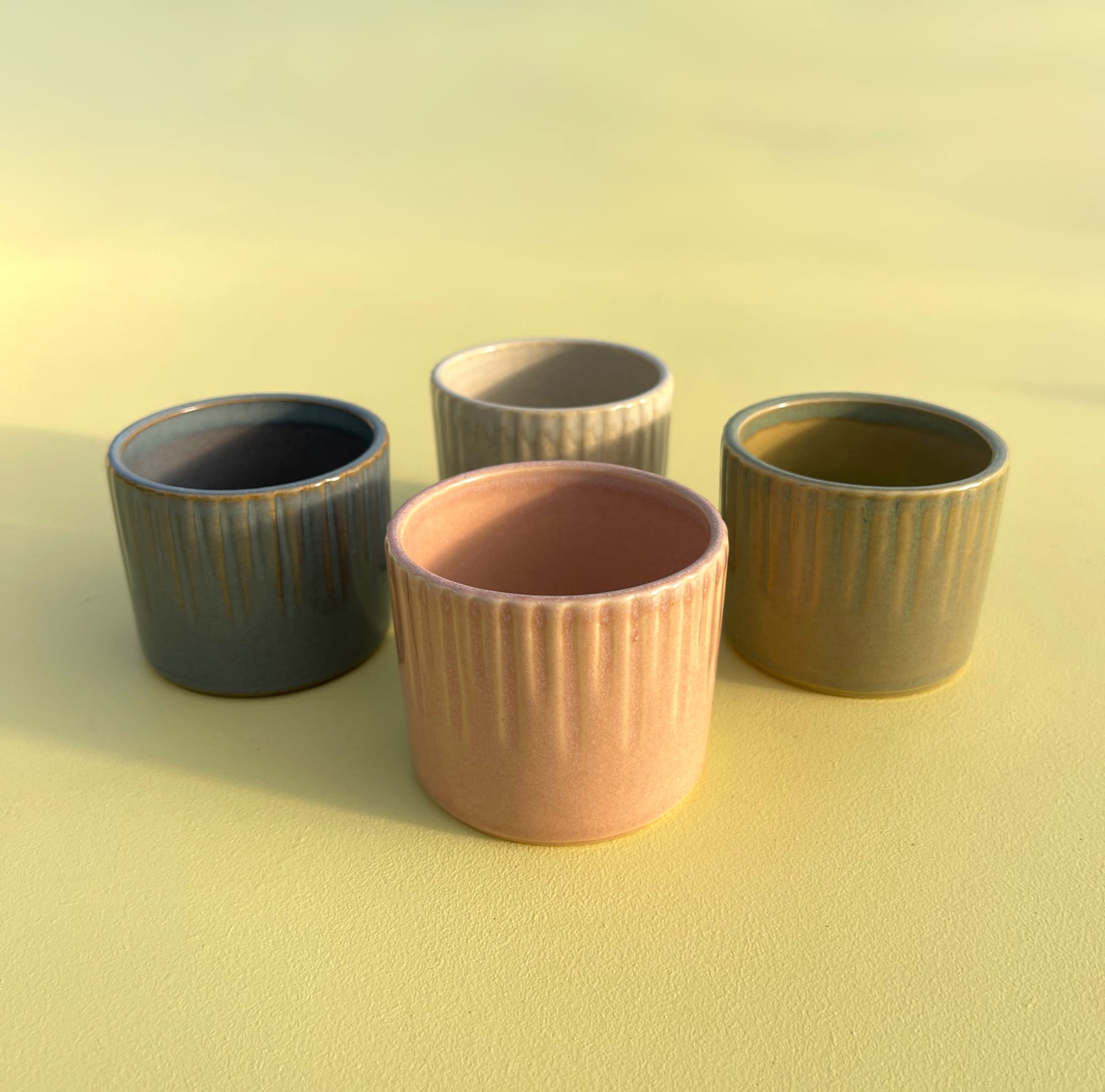 Ceramic plant pots