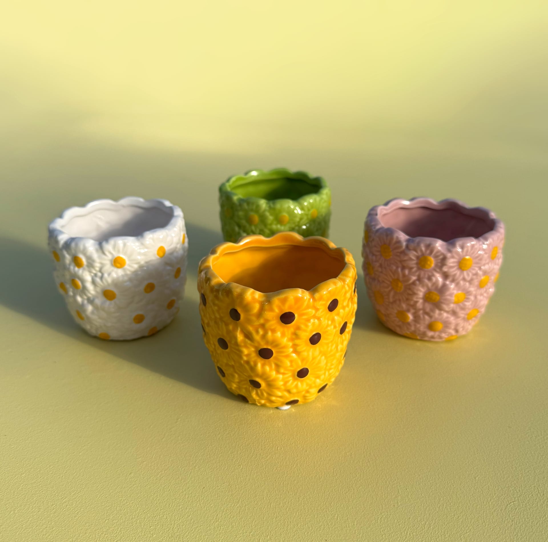 ceramic plant pots