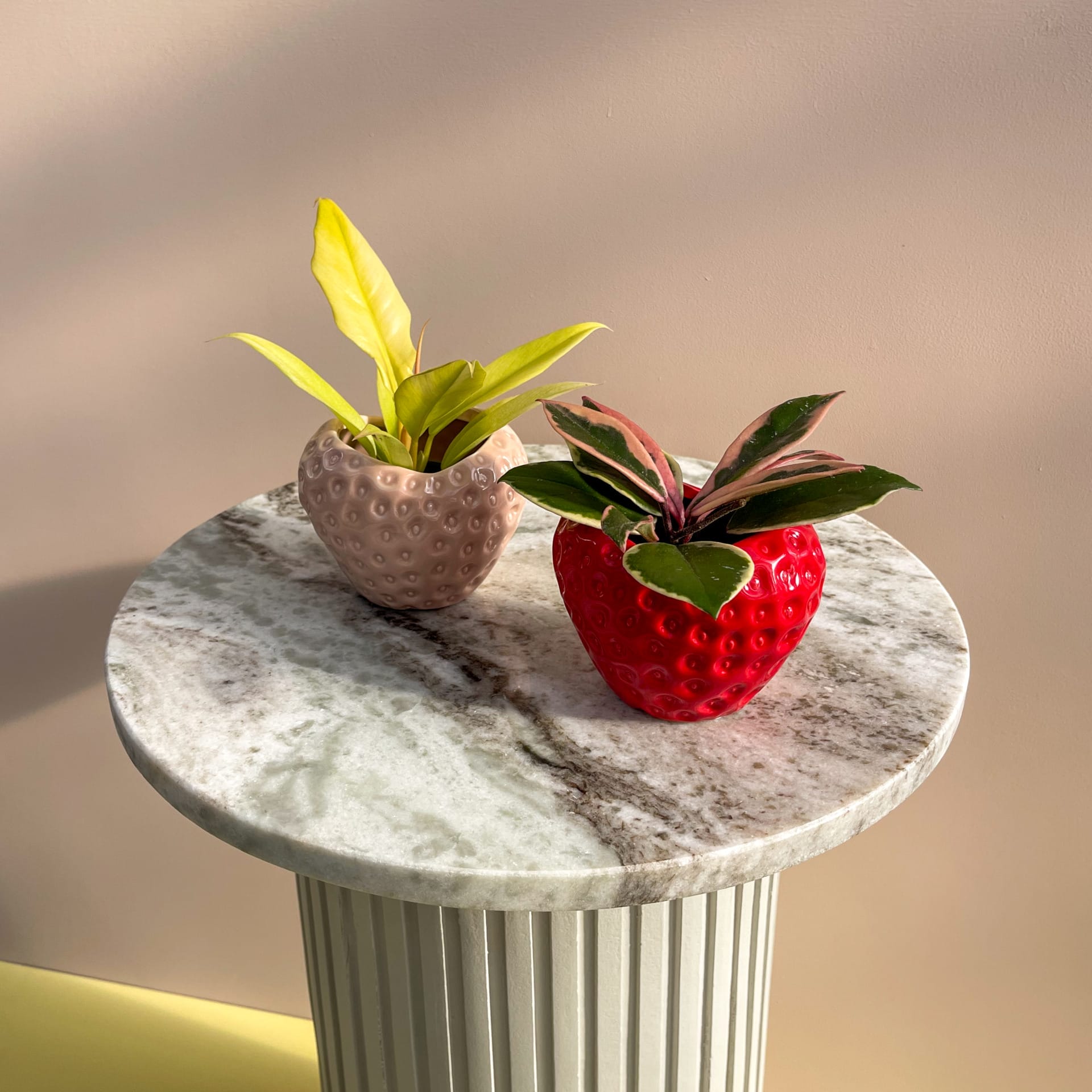 keramiske urtepotter house of botanique