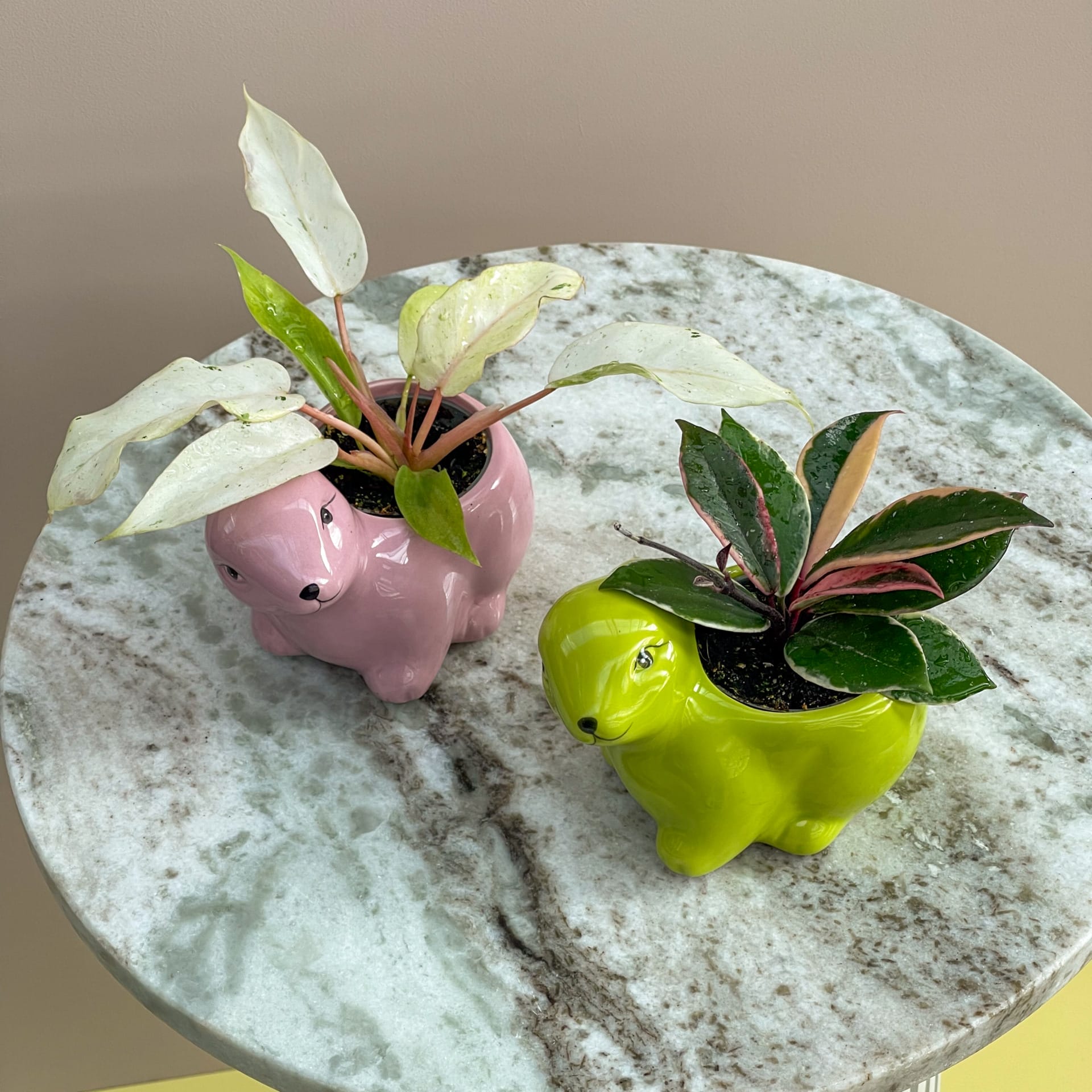 ceramic plant pot house of botanique