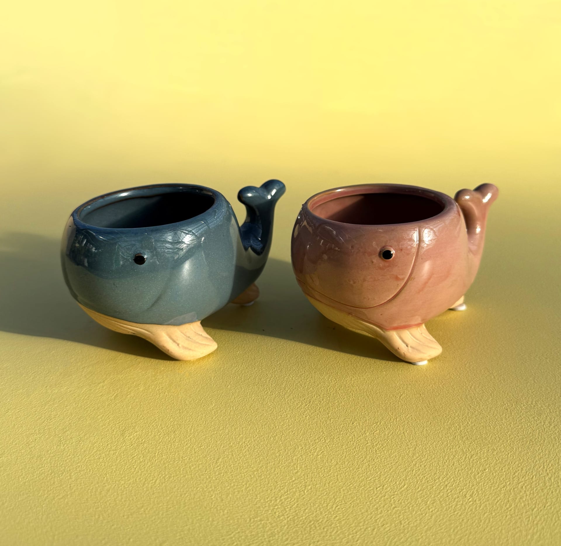 Botanique Whaley – 2 colours – Ø 6 cm