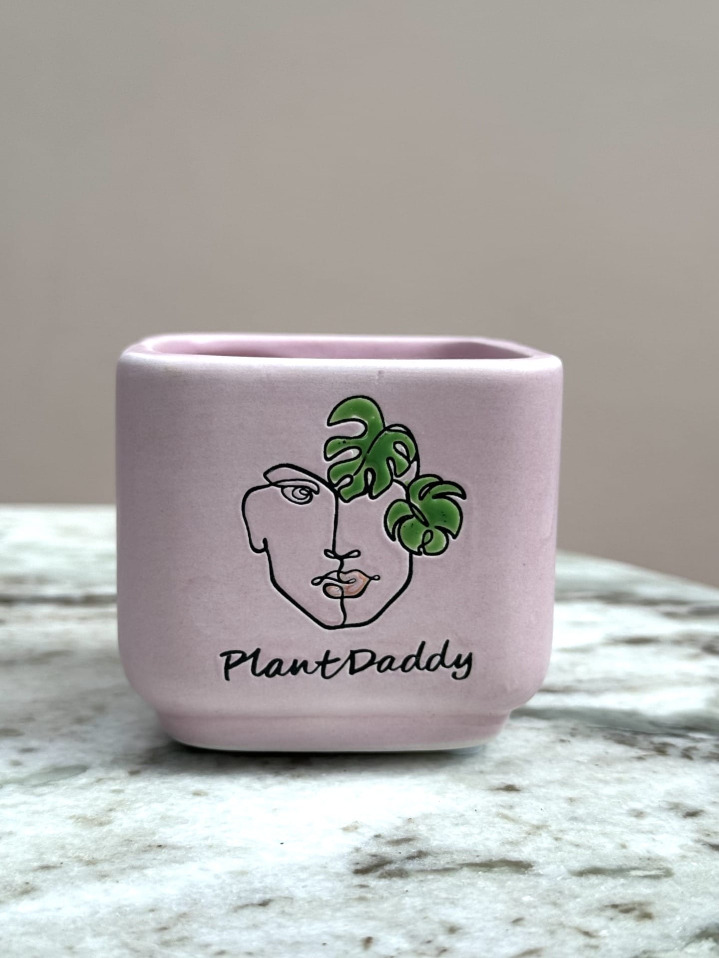 ceramic plant pot